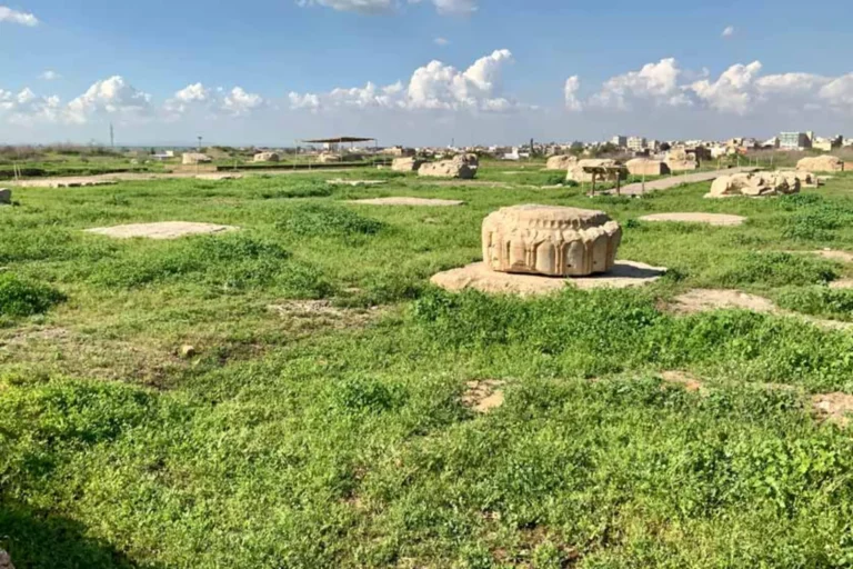 کاخ آپادانا شوش