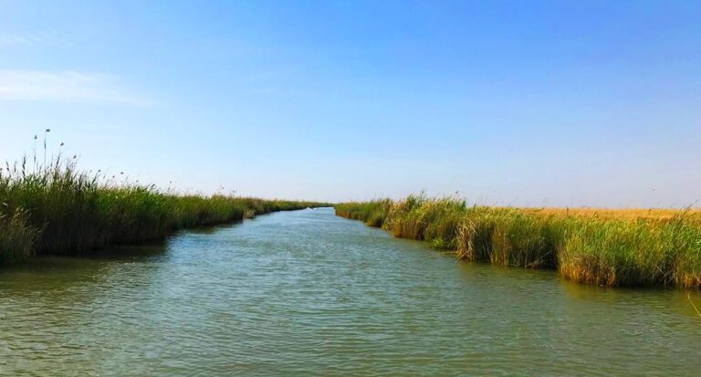 تالاب شادگان